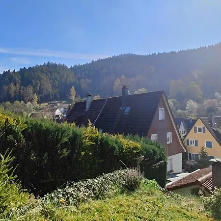 Sonnenschein Apartment